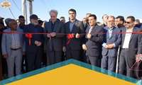 واحد  پرورش مرغ مادر در گناوه با حضور معاون وزیر در امور تولیدات دامی وزارت جهاد کشاورزی به بهره برداری رسید